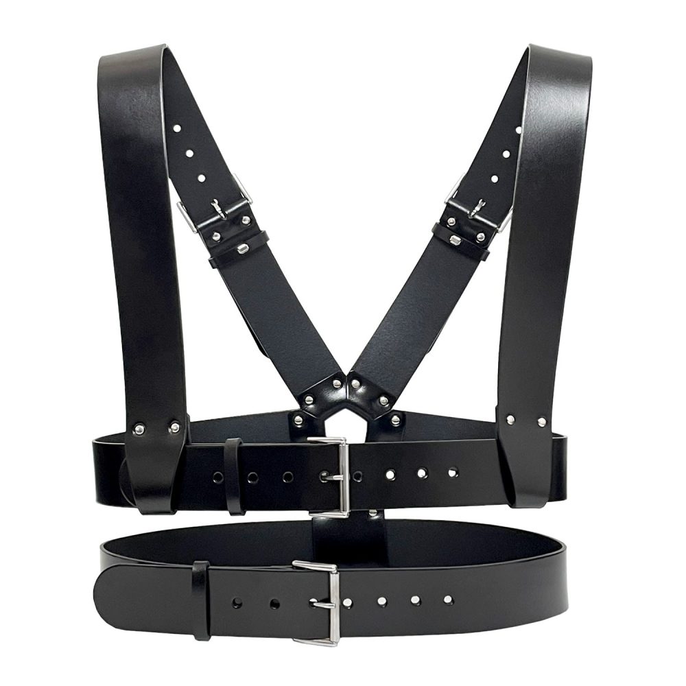 Premium Harnesses for Secure Fit & Maximum Protection
